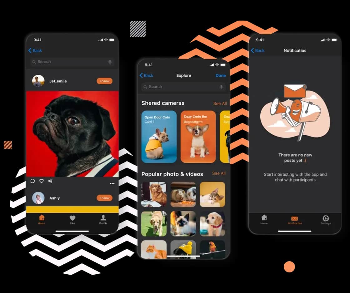 Pet Monitoring System, A pet camera app connecting pet parents with their adorable pets via live video streaming and interactive games playing at distance.